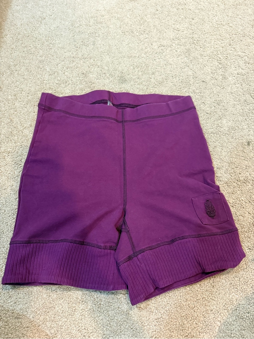 Altar'd State Purple Athletic Shorts